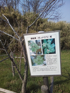 IMG_20180429_145518.jpg